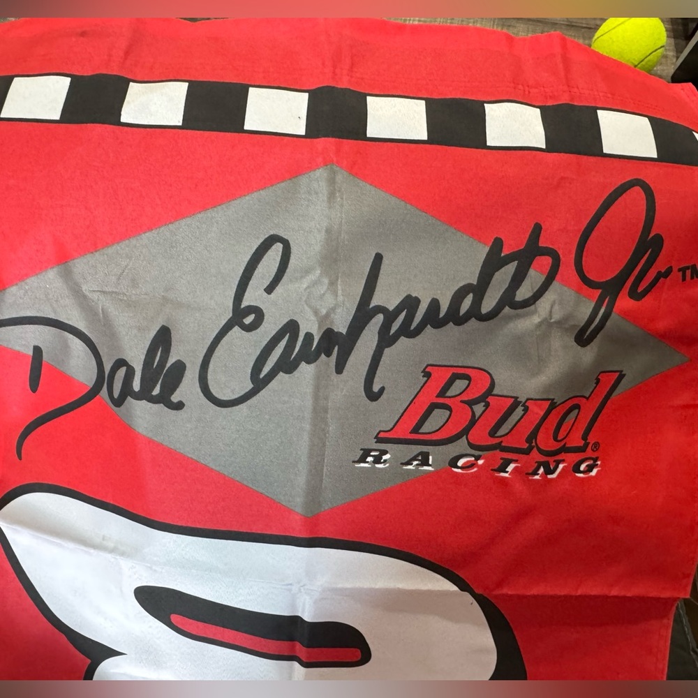 Dale Earnhardt Jr. Nascar 2000 Red Racing Banner - Picture 7 of 14